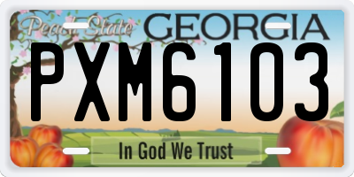 GA license plate PXM6103
