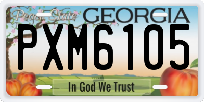 GA license plate PXM6105