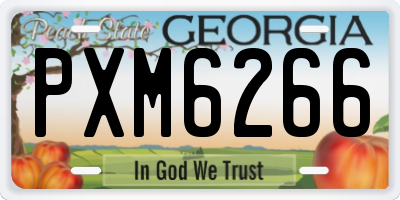 GA license plate PXM6266