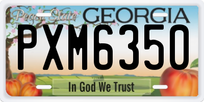 GA license plate PXM6350