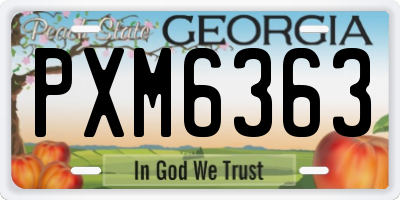 GA license plate PXM6363