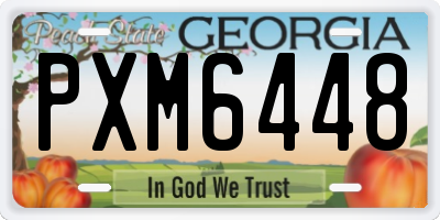 GA license plate PXM6448