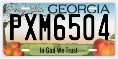GA license plate PXM6504