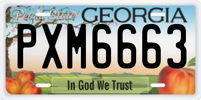 GA license plate PXM6663