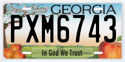 GA license plate PXM6743