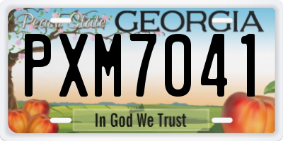 GA license plate PXM7041