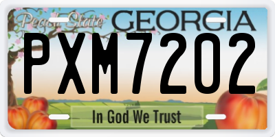 GA license plate PXM7202