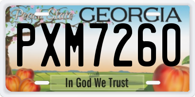 GA license plate PXM7260