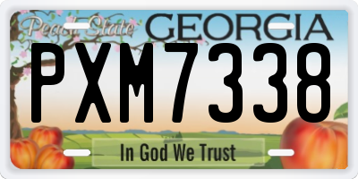 GA license plate PXM7338