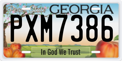 GA license plate PXM7386