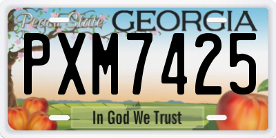 GA license plate PXM7425