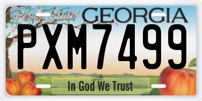 GA license plate PXM7499