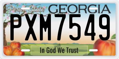 GA license plate PXM7549