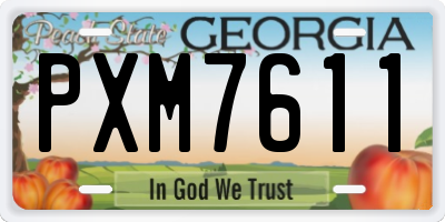 GA license plate PXM7611