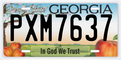 GA license plate PXM7637