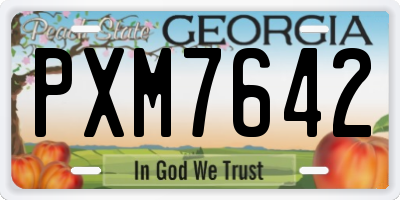 GA license plate PXM7642