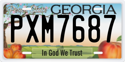 GA license plate PXM7687