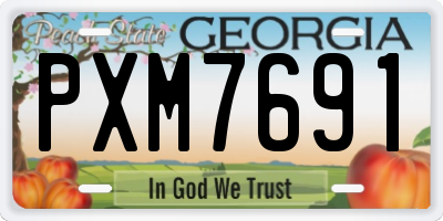 GA license plate PXM7691