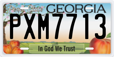 GA license plate PXM7713