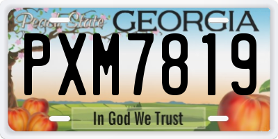 GA license plate PXM7819