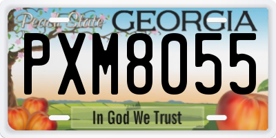 GA license plate PXM8055