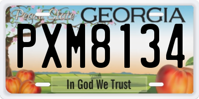 GA license plate PXM8134