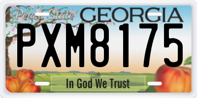GA license plate PXM8175