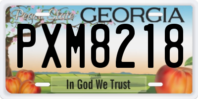 GA license plate PXM8218