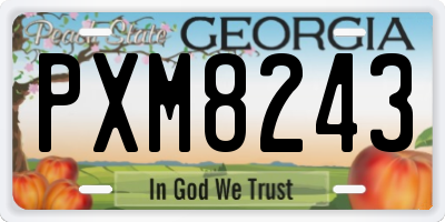 GA license plate PXM8243