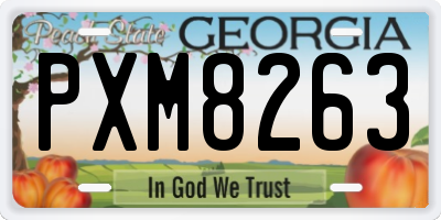 GA license plate PXM8263