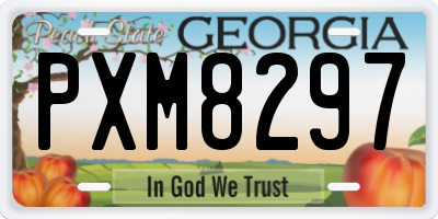 GA license plate PXM8297