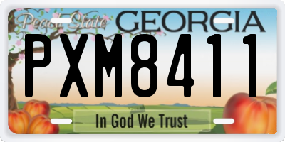 GA license plate PXM8411