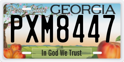 GA license plate PXM8447
