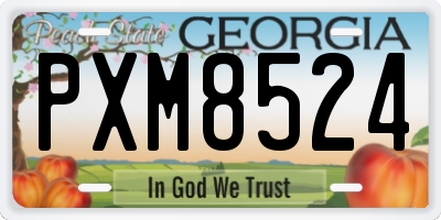 GA license plate PXM8524