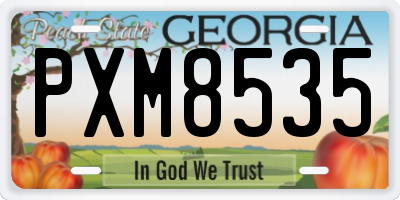 GA license plate PXM8535