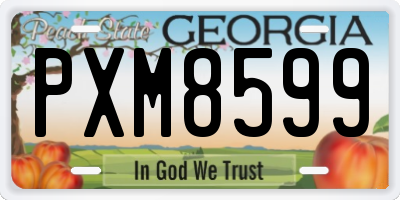 GA license plate PXM8599