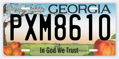 GA license plate PXM8610