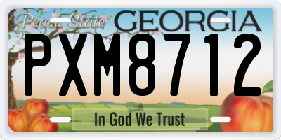 GA license plate PXM8712