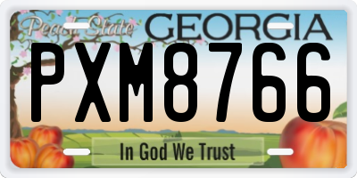 GA license plate PXM8766