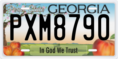 GA license plate PXM8790