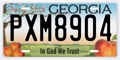 GA license plate PXM8904