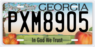 GA license plate PXM8905