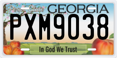 GA license plate PXM9038