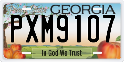 GA license plate PXM9107