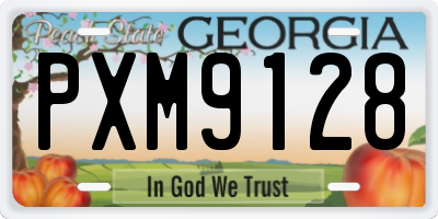 GA license plate PXM9128