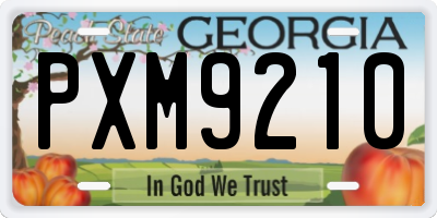 GA license plate PXM9210
