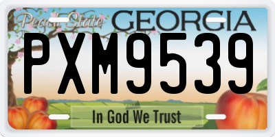 GA license plate PXM9539