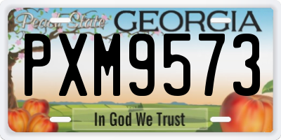 GA license plate PXM9573