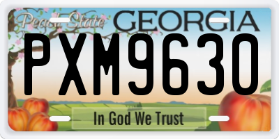 GA license plate PXM9630
