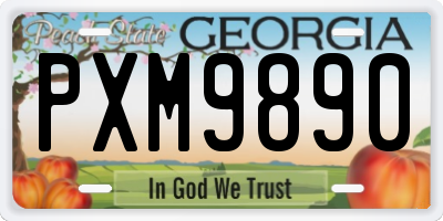 GA license plate PXM9890